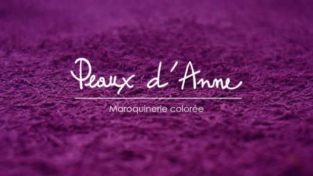 mon-site-peauxdanne-620x35