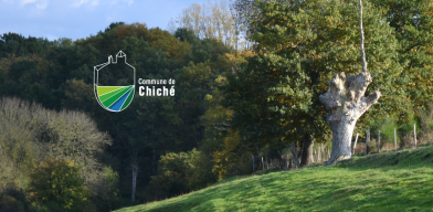 logo-chiche-proposition-392x192.pn