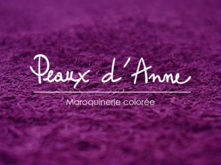 mon-site-web-peauxdanne