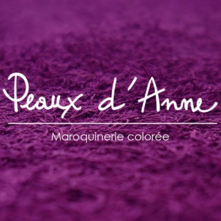 mon-site-web-peauxdanne
