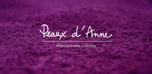 mon-site-web-peauxdanne-49