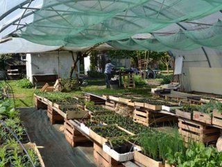 saint-fiacre-site-saintes-1