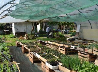 saint-fiacre-site-saintes-1-327