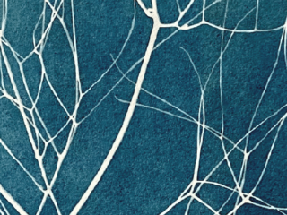 atelier-cyanotype-bleu-vandacipriano-320x240.pn