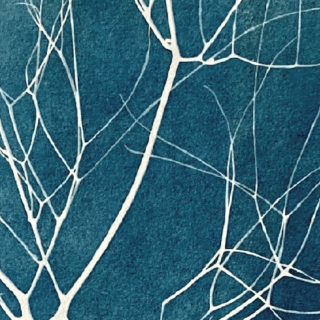 atelier-cyanotype-bleu-vandacipriano-320x320.pn